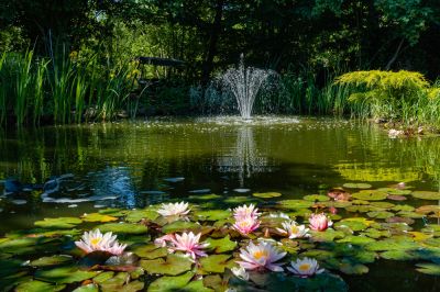 Prevent Water from Seeping into the Soil with a Pond Liner!